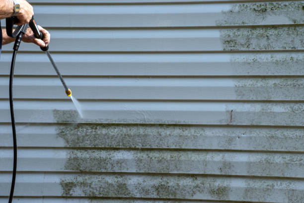 Best Insulated Siding Installation  in Walce Ridge, LA