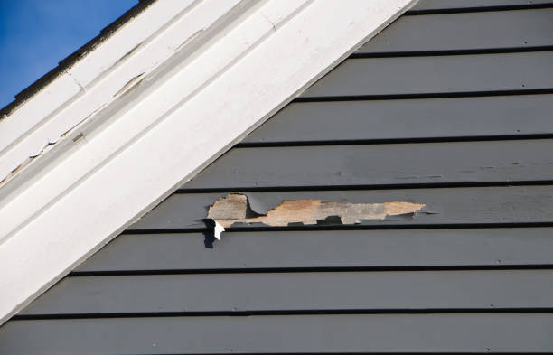 Historical Building Siding Restoration in Wallace Ridge, LA